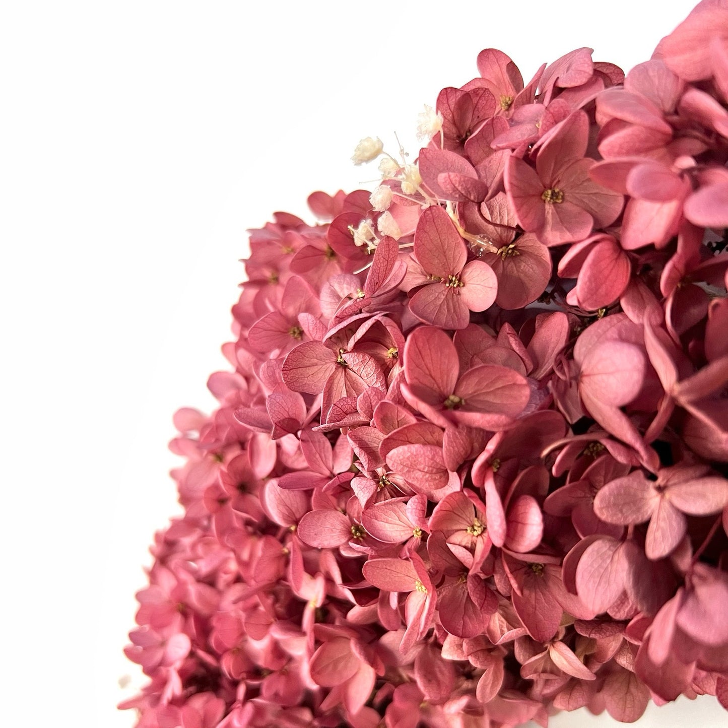 closeup look of the pink preserved hydrangea petals