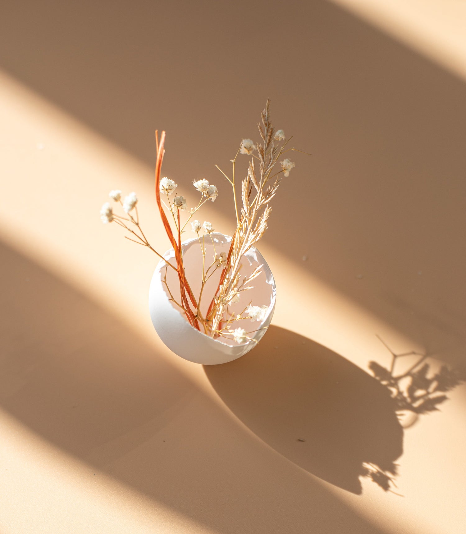white egg shell with dried flowers in it with farm sun light