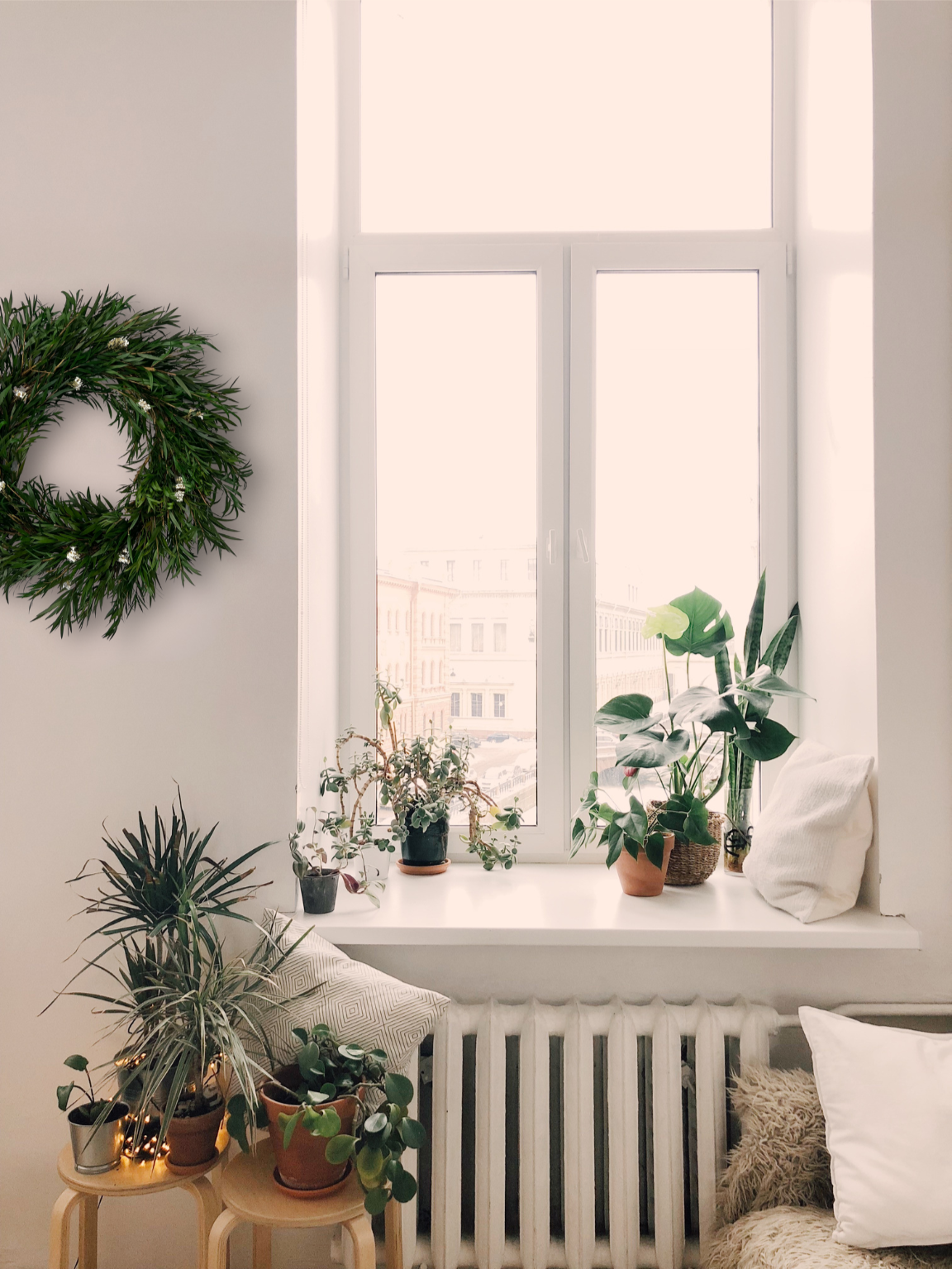 a preserved greenery wreath with white daisy flowers on a white wall by a white window surrounded by lots of plant pots and foliage