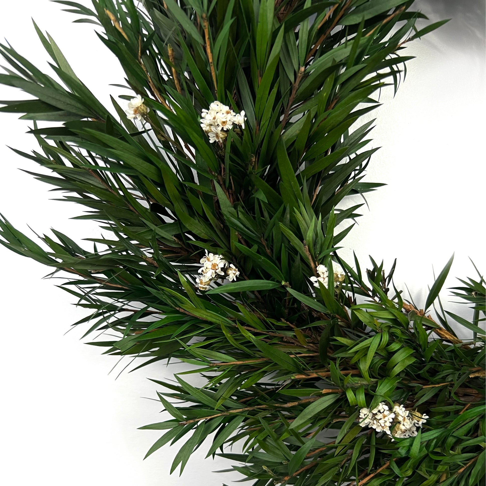 closeup look of the daisy flowers on the preserved natural wreath