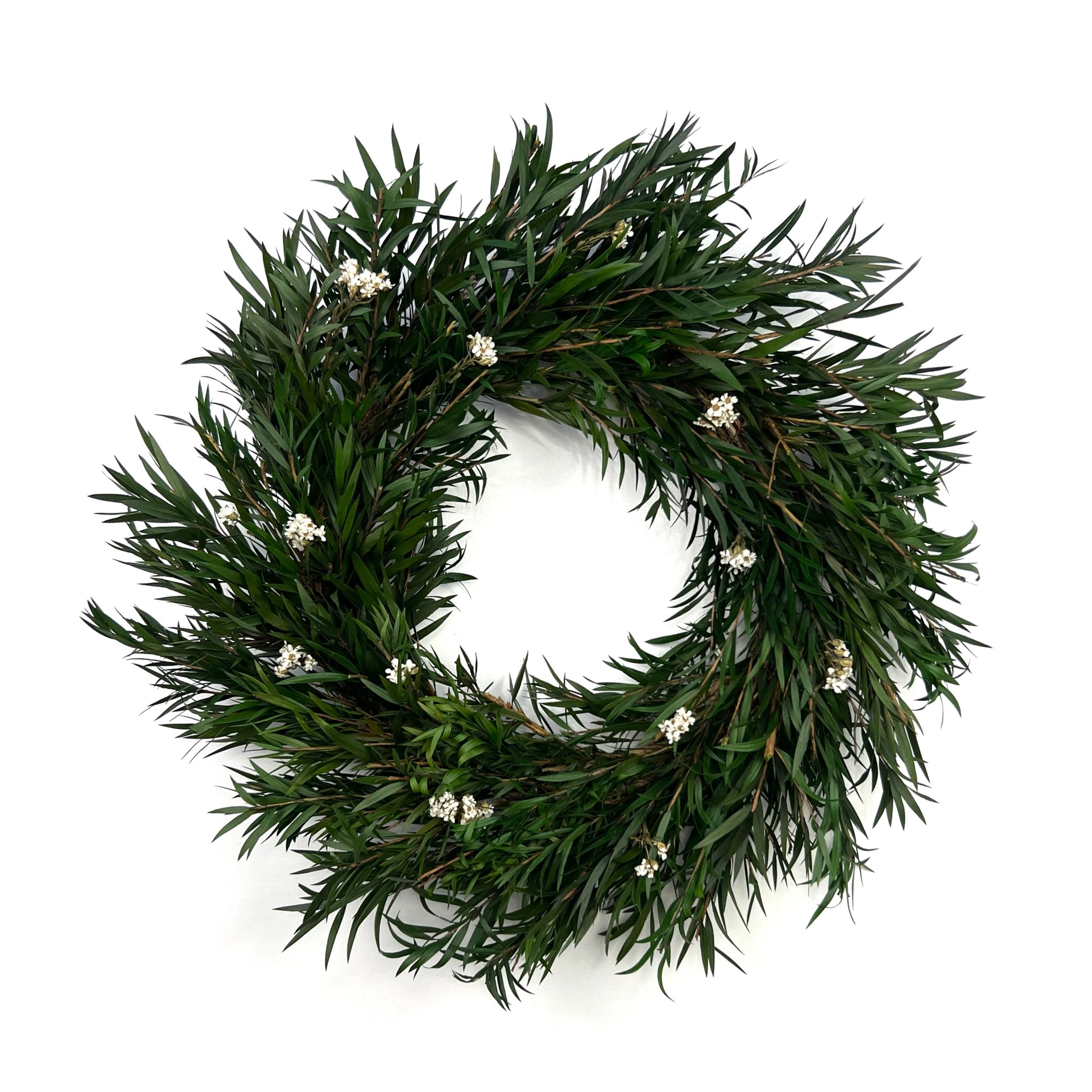 preserved farmhouse bottlebrush wreath with white daisy flowers for all seasons